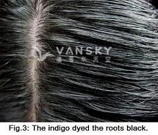 260210094105_Hair-Dyed with indigo-s.jpg